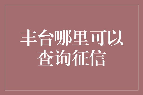 丰台哪里可以查询征信