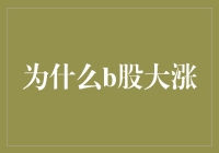 B股大涨：一场只有B玩家才懂的游戏