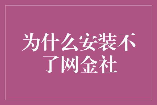 为什么安装不了网金社