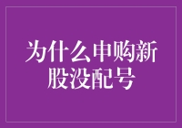 申购新股未获配号：剖析背后原因与投资策略