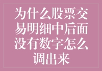 股票账户的秘密武器：揭秘交易明细后面没有数字的奥秘