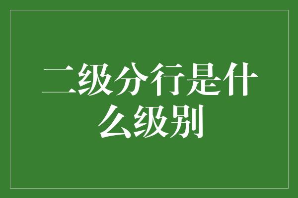 二级分行是什么级别