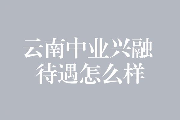 云南中业兴融 待遇怎么样