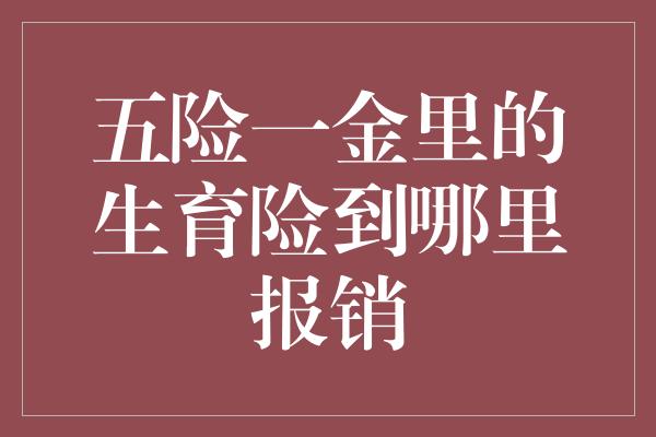 五险一金里的生育险到哪里报销