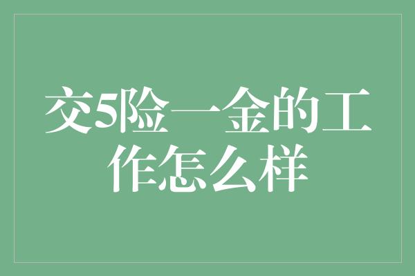 交5险一金的工作怎么样