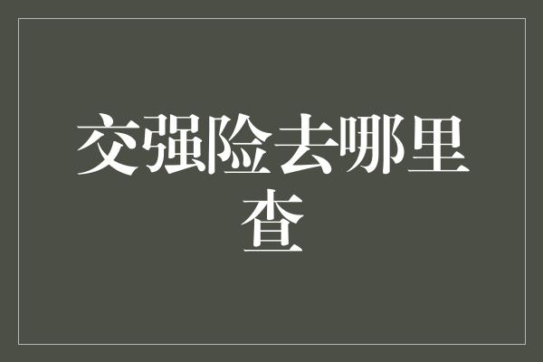 交强险去哪里查