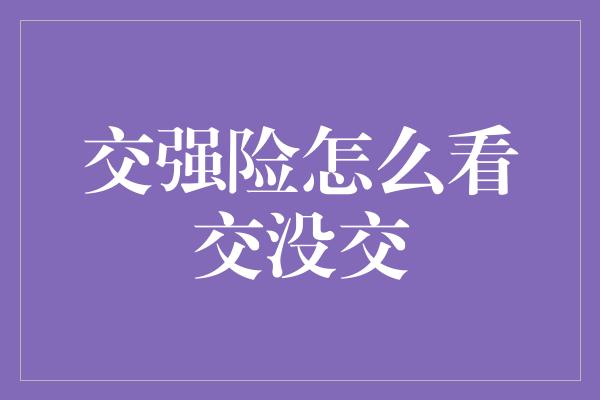 交强险怎么看交没交