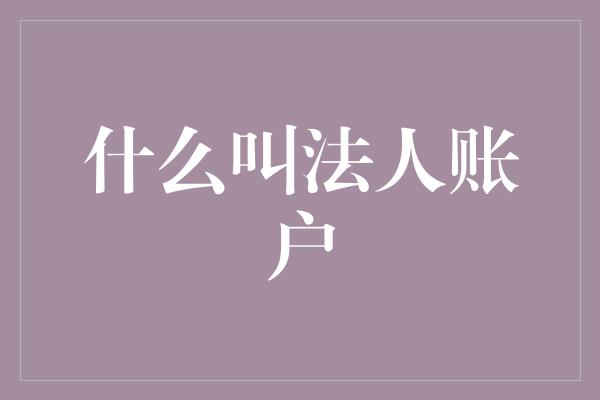 什么叫法人账户