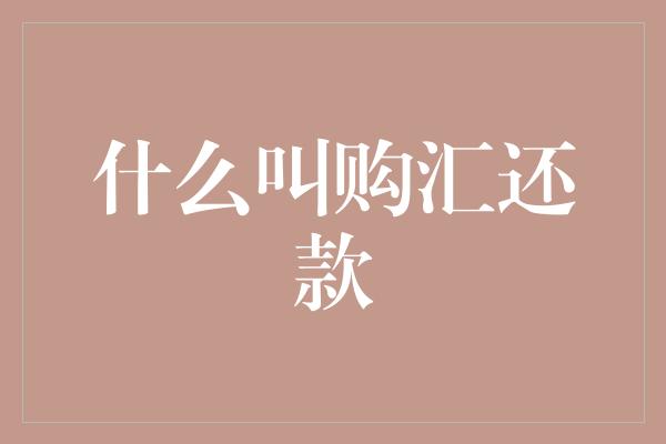 什么叫购汇还款