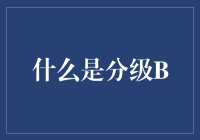 什么是分级B？——投资品种解析与风险揭示