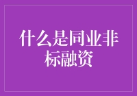 同业非标融资：定义、特点与市场影响