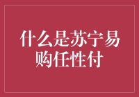 苏宁易购任性付：新时代的消费信贷服务