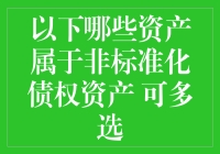 从财务报表到笑料百出：揭秘非标准债权资产