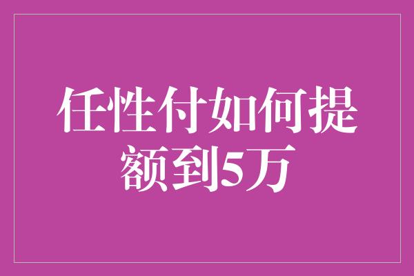 任性付如何提额到5万