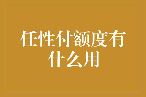 任性付额度有什么用