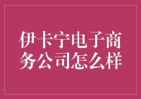 伊卡宁电子商务公司——让你的购物车成为人生赢家