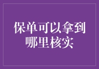 你的保单可以拿到哪里核实？——来吧，让我们开启一场寻宝之旅！