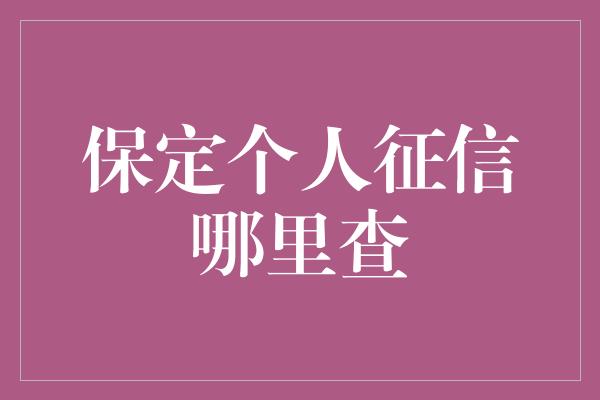 保定个人征信哪里查