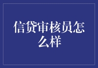 信贷审核员：在数字海洋中驾驭风险的艺术