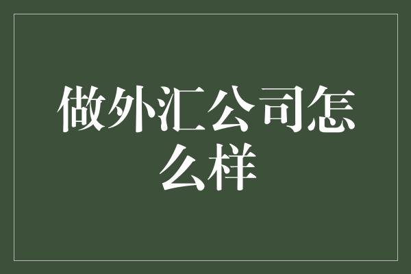 做外汇公司怎么样