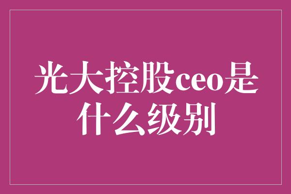 光大控股ceo是什么级别