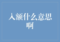 入额什么意思啊