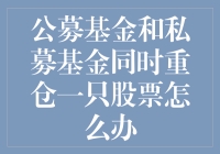 公募基金与私募基金同时重仓某只股票：权衡利弊与投资策略