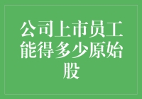 公司上市员工原始股分配策略与价值解析