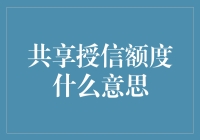 共享授信额度的多元化定义与应用