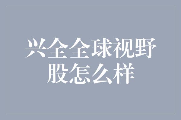 兴全全球视野股怎么样