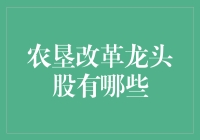 农垦改革龙头股：把握农业现代化的机遇