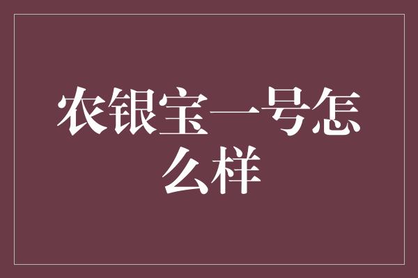 农银宝一号怎么样