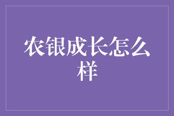 农银成长怎么样