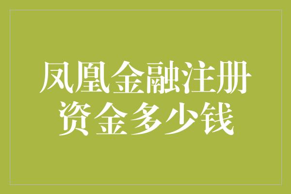 凤凰金融注册资金多少钱