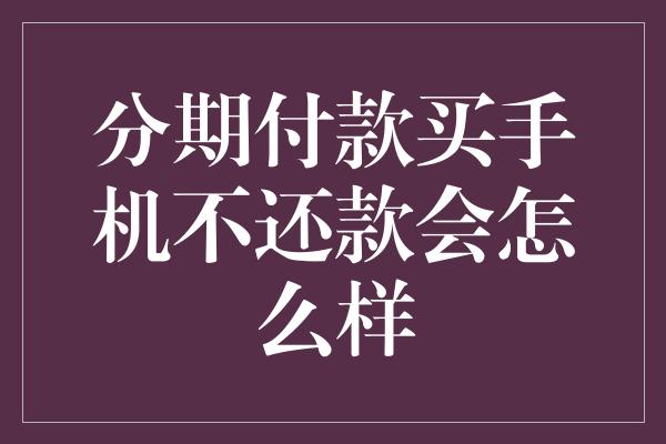 分期付款买手机不还款会怎么样