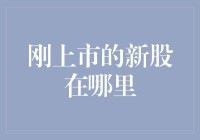 刚上市的新股在哪里：全面解析新股上市渠道与投资策略