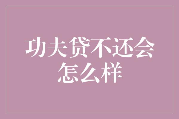 功夫贷不还会怎么样