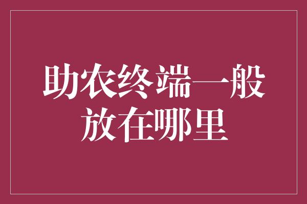 助农终端一般放在哪里