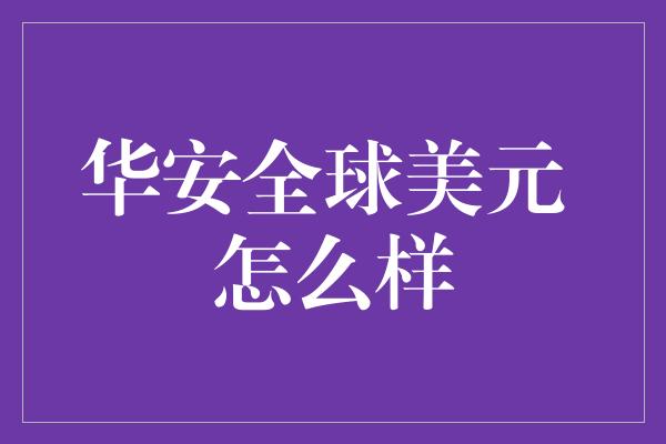 华安全球美元 怎么样