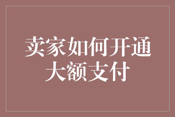 卖家如何开通大额支付