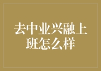 去中业兴融上班：一份理想与现实的碰撞