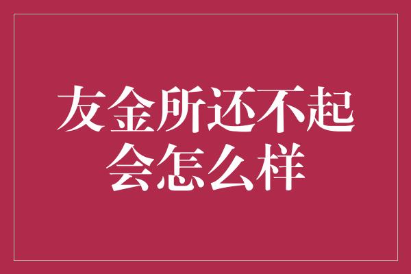 友金所还不起会怎么样