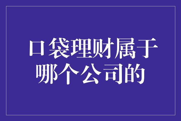 口袋理财属于哪个公司的