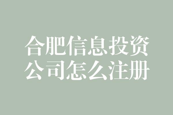 合肥信息投资公司怎么注册