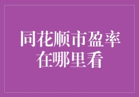 同花顺软件中的市盈率查询指南：全方位解读