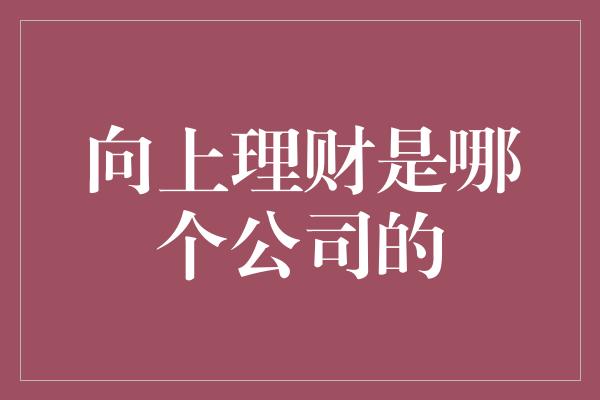 向上理财是哪个公司的