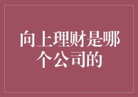 向上理财——谁在引领潮流？