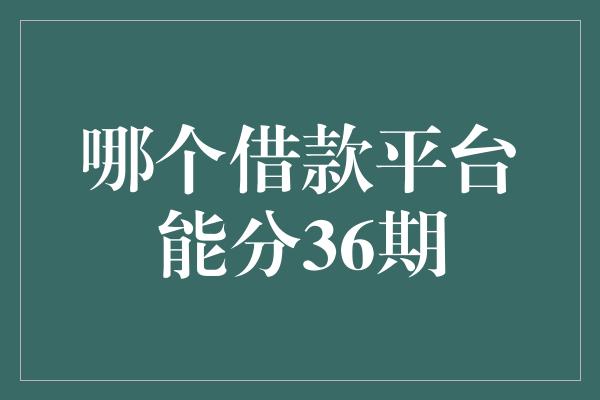 哪个借款平台能分36期