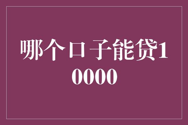 哪个口子能贷10000