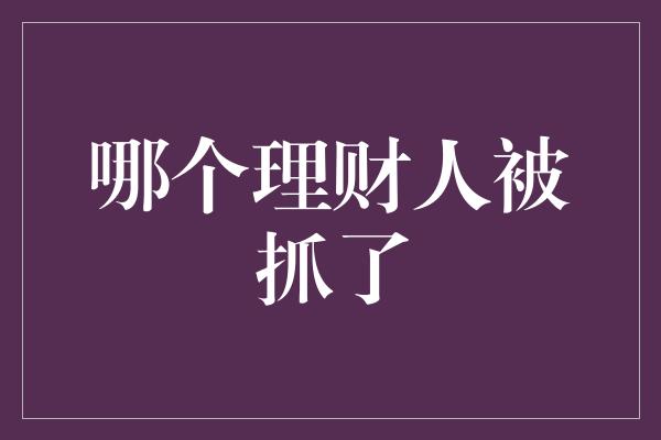 哪个理财人被抓了